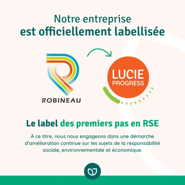 LINKEDIN - Publication ROBINEAU