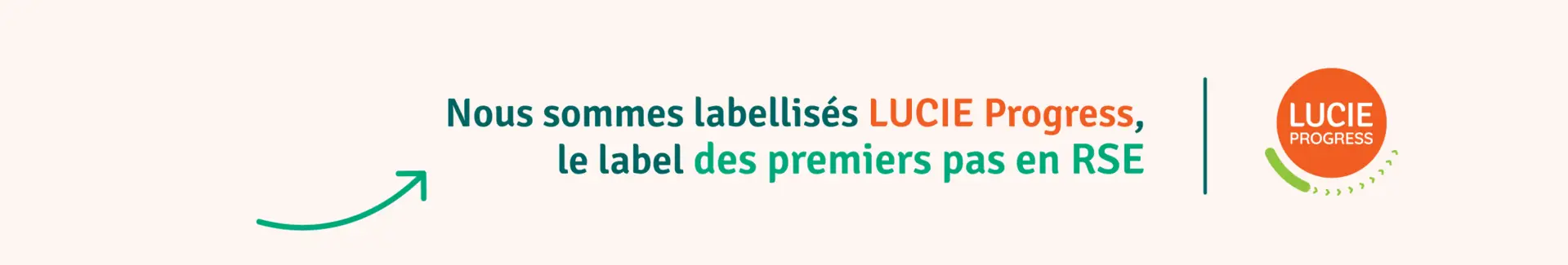 robineau-lucie-progress-rse